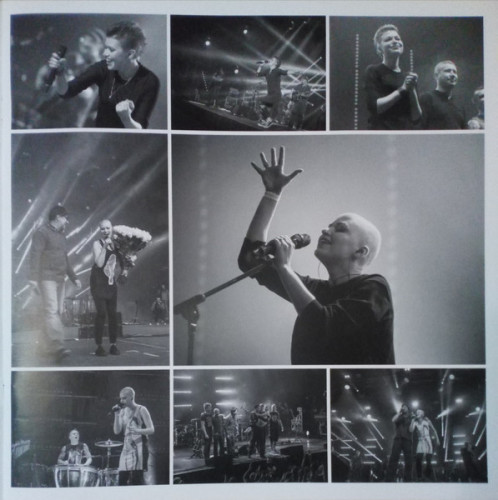 Виниловая пластинка ДДТ "Прозрачный" (CLEAR 2LP)